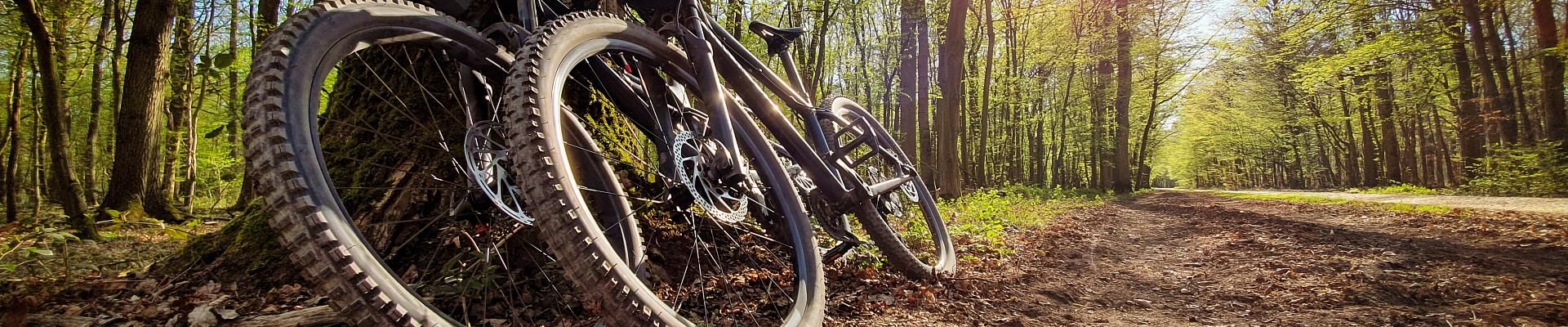 Cycling Prestigi Hotels Andorra