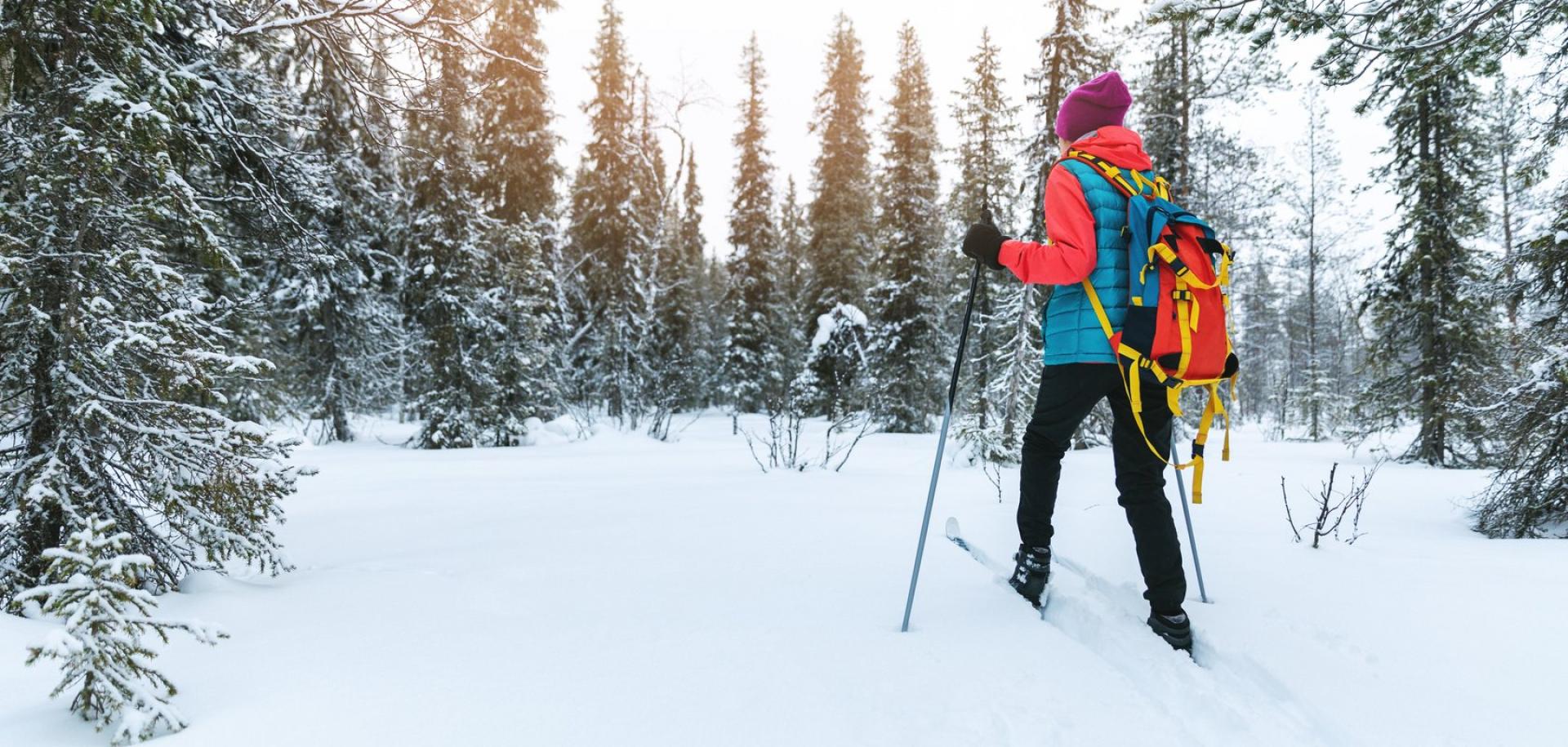 ACTIVIDADES DE INVIERNO