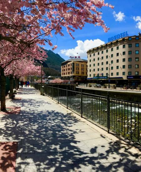 Hotel ideal per a families a Andorra la Vella