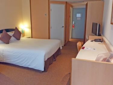 Superior Double Room for single use
